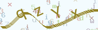 看不清楚？點(diǎn)擊可獲取新的驗(yàn)證碼.