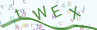 看不清楚？点击可获取新的验证码.