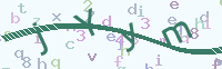 看不清楚？點(diǎn)擊可獲取新的驗(yàn)證碼.