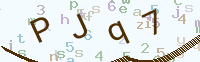 看不清楚？點(diǎn)擊可獲取新的驗(yàn)證碼.