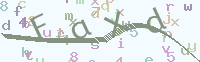 看不清楚？點(diǎn)擊可獲取新的驗(yàn)證碼.