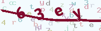 看不清楚？點(diǎn)擊可獲取新的驗(yàn)證碼.