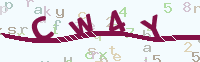 看不清楚？點(diǎn)擊可獲取新的驗(yàn)證碼.
