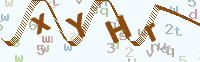 看不清楚？點(diǎn)擊可獲取新的驗(yàn)證碼.