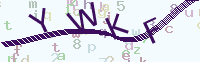 看不清楚？點(diǎn)擊可獲取新的驗(yàn)證碼.