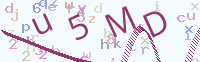 看不清楚？點(diǎn)擊可獲取新的驗(yàn)證碼.