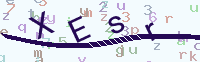 看不清楚？點(diǎn)擊可獲取新的驗(yàn)證碼.