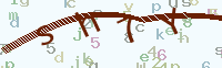 看不清楚？點(diǎn)擊可獲取新的驗(yàn)證碼.