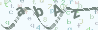 看不清楚？點(diǎn)擊可獲取新的驗(yàn)證碼.