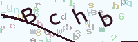 看不清楚？點(diǎn)擊可獲取新的驗證碼.