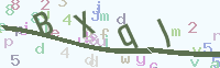 看不清楚？點(diǎn)擊可獲取新的驗(yàn)證碼.