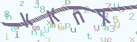 看不清楚？點(diǎn)擊可獲取新的驗(yàn)證碼.