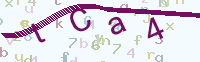 看不清楚？點(diǎn)擊可獲取新的驗(yàn)證碼.