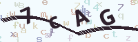 看不清楚？點(diǎn)擊可獲取新的驗(yàn)證碼.