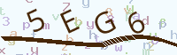 看不清楚？點(diǎn)擊可獲取新的驗(yàn)證碼.
