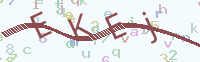 看不清楚？點(diǎn)擊可獲取新的驗(yàn)證碼.