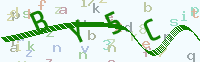 看不清楚？點(diǎn)擊可獲取新的驗(yàn)證碼.