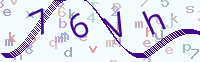 看不清楚？點(diǎn)擊可獲取新的驗(yàn)證碼.