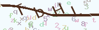 看不清楚？點(diǎn)擊可獲取新的驗(yàn)證碼.