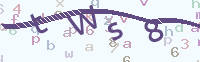 看不清楚？點(diǎn)擊可獲取新的驗(yàn)證碼.