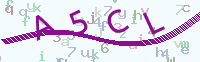 看不清楚？點(diǎn)擊可獲取新的驗(yàn)證碼.