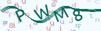 看不清楚？點(diǎn)擊可獲取新的驗(yàn)證碼.