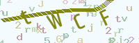 看不清楚？点击可获取新的验证码.