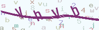 看不清楚？點(diǎn)擊可獲取新的驗(yàn)證碼.