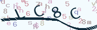 看不清楚？點(diǎn)擊可獲取新的驗(yàn)證碼.