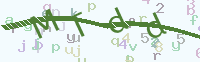看不清楚？點(diǎn)擊可獲取新的驗(yàn)證碼.