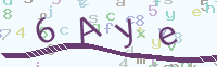 看不清楚？點(diǎn)擊可獲取新的驗(yàn)證碼.