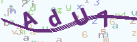 看不清楚？點(diǎn)擊可獲取新的驗(yàn)證碼.