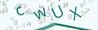 看不清楚？點(diǎn)擊可獲取新的驗(yàn)證碼.