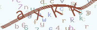 看不清楚？點(diǎn)擊可獲取新的驗(yàn)證碼.