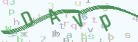 看不清楚？點(diǎn)擊可獲取新的驗(yàn)證碼.