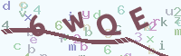 看不清楚？點(diǎn)擊可獲取新的驗(yàn)證碼.