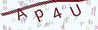 看不清楚？點(diǎn)擊可獲取新的驗(yàn)證碼.