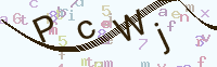看不清楚？點(diǎn)擊可獲取新的驗(yàn)證碼.