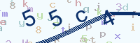 看不清楚？點(diǎn)擊可獲取新的驗(yàn)證碼.