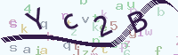 看不清楚？點(diǎn)擊可獲取新的驗(yàn)證碼.