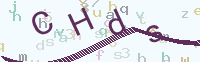 看不清楚？點(diǎn)擊可獲取新的驗(yàn)證碼.