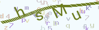 看不清楚？點(diǎn)擊可獲取新的驗(yàn)證碼.