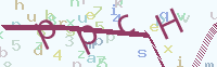 看不清楚？點(diǎn)擊可獲取新的驗(yàn)證碼.