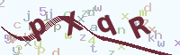 看不清楚？點(diǎn)擊可獲取新的驗(yàn)證碼.