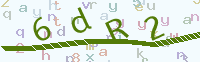 看不清楚？點(diǎn)擊可獲取新的驗(yàn)證碼.