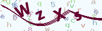看不清楚？點(diǎn)擊可獲取新的驗(yàn)證碼.
