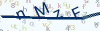 看不清楚？點(diǎn)擊可獲取新的驗(yàn)證碼.