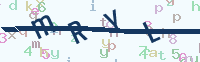 看不清楚？點(diǎn)擊可獲取新的驗(yàn)證碼.