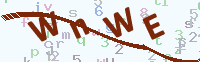 看不清楚？點(diǎn)擊可獲取新的驗(yàn)證碼.