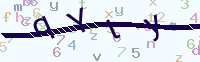 看不清楚？點(diǎn)擊可獲取新的驗(yàn)證碼.